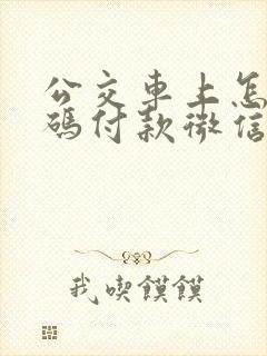 公交车上怎么扫码付款微信