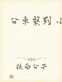 公车系列 小说