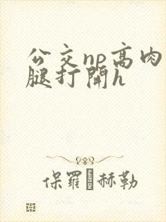 公交np高肉双腿打开h