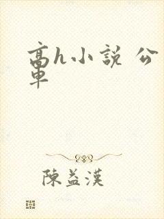 高h小说 公交车
