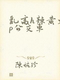 乱高h辣黄文np公交车