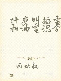 什么叫插电混动和油电混合