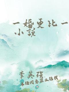 一婚更比一婚高 小说