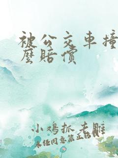 被公交车撞了怎么赔偿