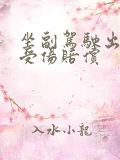 坐副驾驶出车祸受伤赔偿