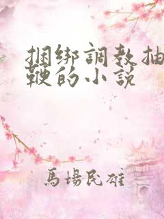 捆绑调教抽小皮鞭的小说