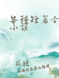 各种短篇合集的小说