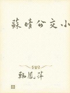 苏晴公交小说