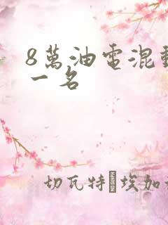 8万油电混动第一名