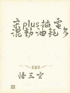 宋plus插电混动油耗多少