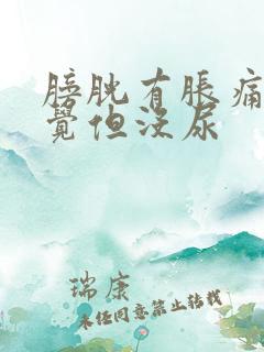 膀胱有胀痛的感觉但没尿