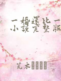 一婚还比一婚高小说完整版
