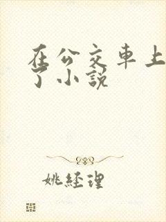 在公交车上被顶了小说