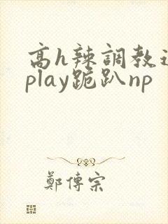 高h辣调教道具play跪趴np