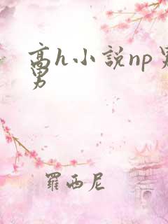 高h小说np男男