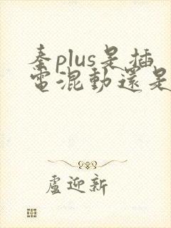 秦plus是插电混动还是油电混动