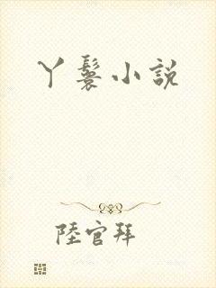 丫鬟小说