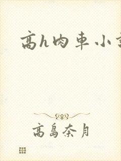 高h肉车小说