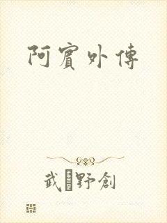 阿宾外传