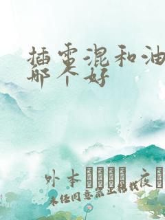 插电混和油电混哪个好