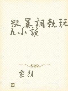 粗暴调教玩弄高h小说