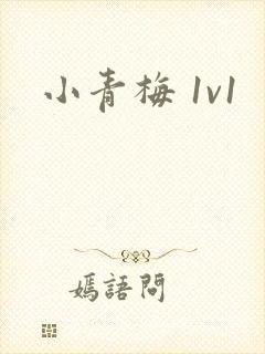 小青梅 1v1