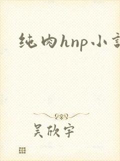 纯肉hnp小说
