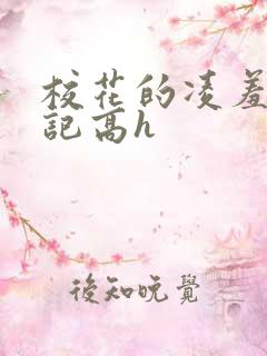 校花的凌羞辱日记高h