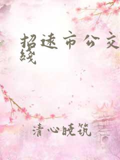 招远市公交车路线