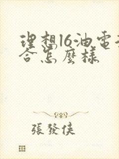 理想l6油电混合怎么样