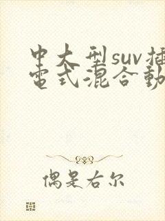 中大型suv插电式混合动力车型