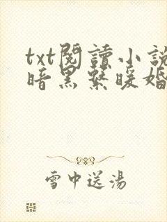 txt阅读小说暗黑系暖婚