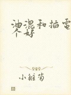 油混和插电混哪个好