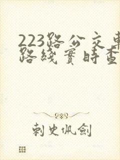 223路公交车路线实时查询
