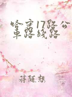 哈密17路公交车路线路