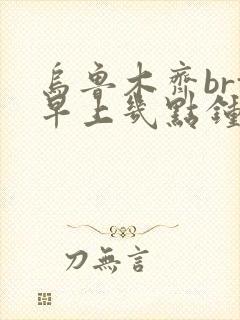 乌鲁木齐brt早上几点钟发车