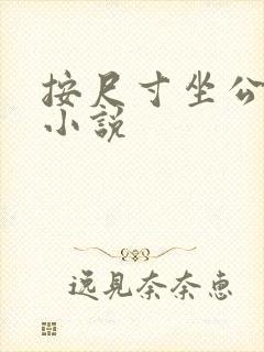 按尺寸坐公交车小说