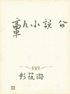 高h小说 公交车