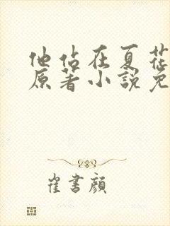 他站在夏花绚烂原著小说免费阅读