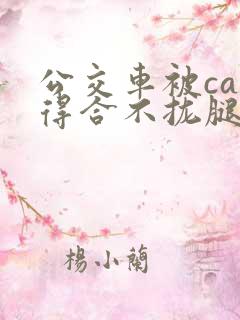 公交车被cao得合不拢腿