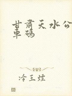 甘肃天水公交乘车码
