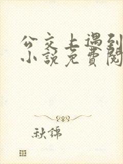 公交上遇到张姨小说免费阅读