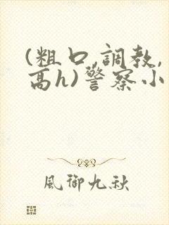 (粗口,调教,高h)警察小说