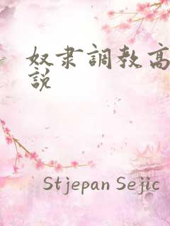 奴隶调教高h小说