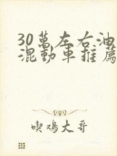 30万左右油电混动车推荐