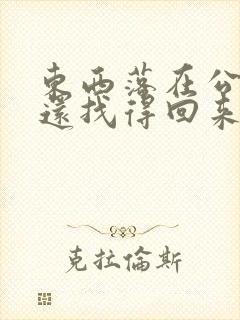 东西落在公交车还找得回来吗