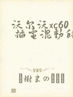 沃尔沃xc60 插电混动的报价