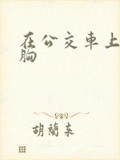 在公交车上被揉胸