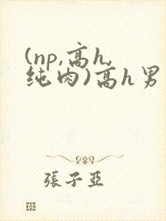 (np,高h,纯肉)高h男男
