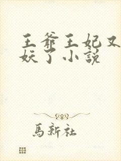 王爷王妃又要作妖了小说